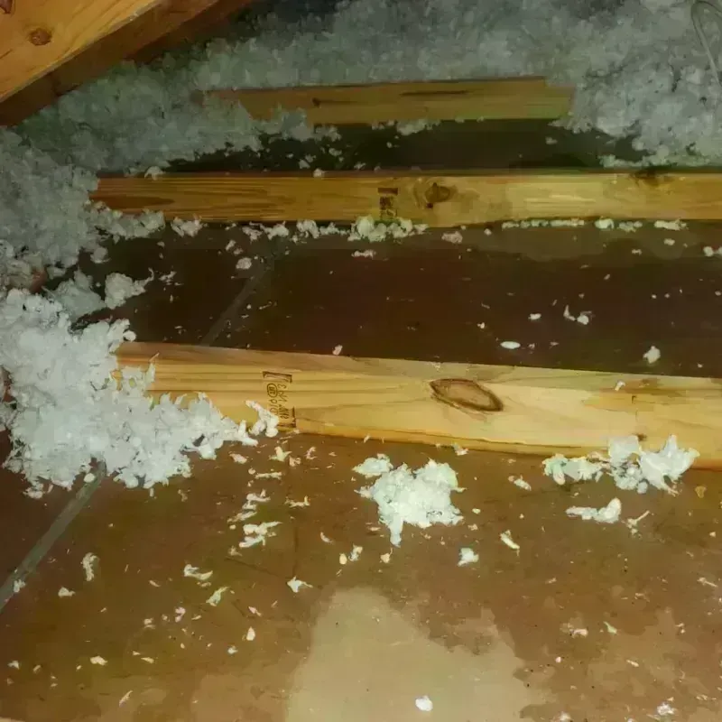 Attic Water Damage in Marion County, TN