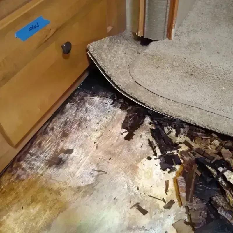 Wood Floor Water Damage in Marion County, TN